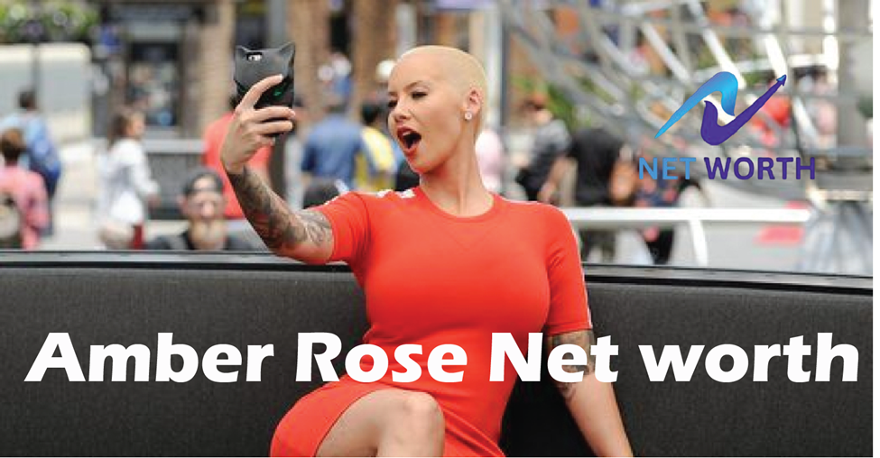 Amber Rose Net Worth